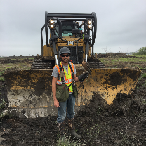 Falconer with falcon in front of bull dozer