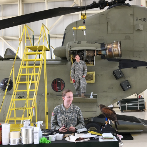 Harris hawk with military service personnel